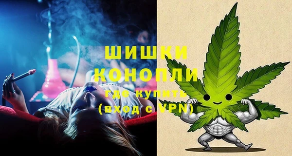 ГАЛЛЮЦИНОГЕННЫЕ ГРИБЫ Лабытнанги