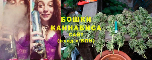 ГАЛЛЮЦИНОГЕННЫЕ ГРИБЫ Лабытнанги