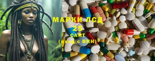 ГАЛЛЮЦИНОГЕННЫЕ ГРИБЫ Лабытнанги