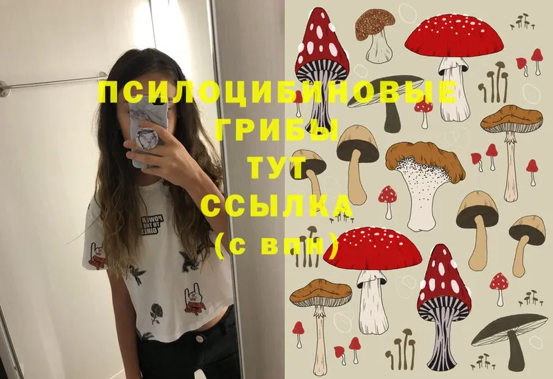 купить   Заринск  Галлюциногенные грибы Magic Shrooms 