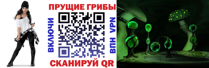 Галлюциногенные грибы прущие грибы  дарк нет клад  Заринск 