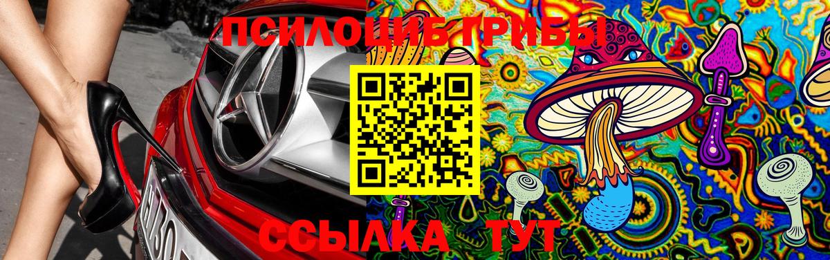 Псилоцибиновые грибы Psilocybine cubensis  Заринск  Галлюциногенные грибы Magic Shrooms 