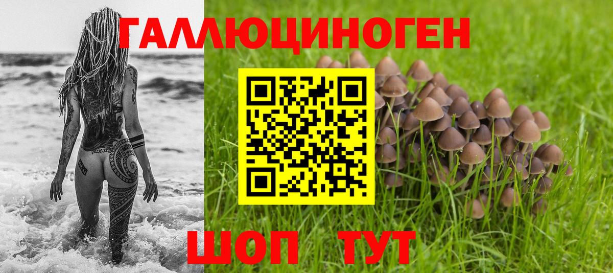 Заринск  Галлюциногенные грибы Psilocybe  Галлюциногенные грибы MAGIC MUSHROOMS  Вход с VPN 