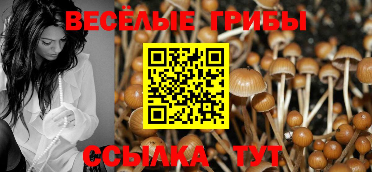 Псилоцибиновые грибы GOLDEN TEACHER Заринск